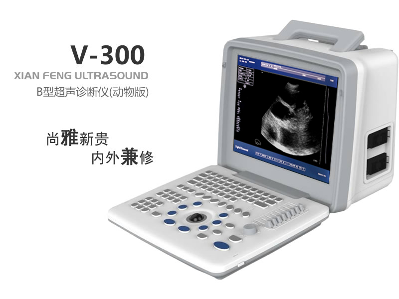 B型動物超聲診斷儀
